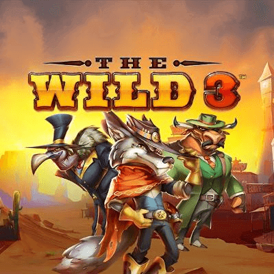 The Wild 3 Bonus