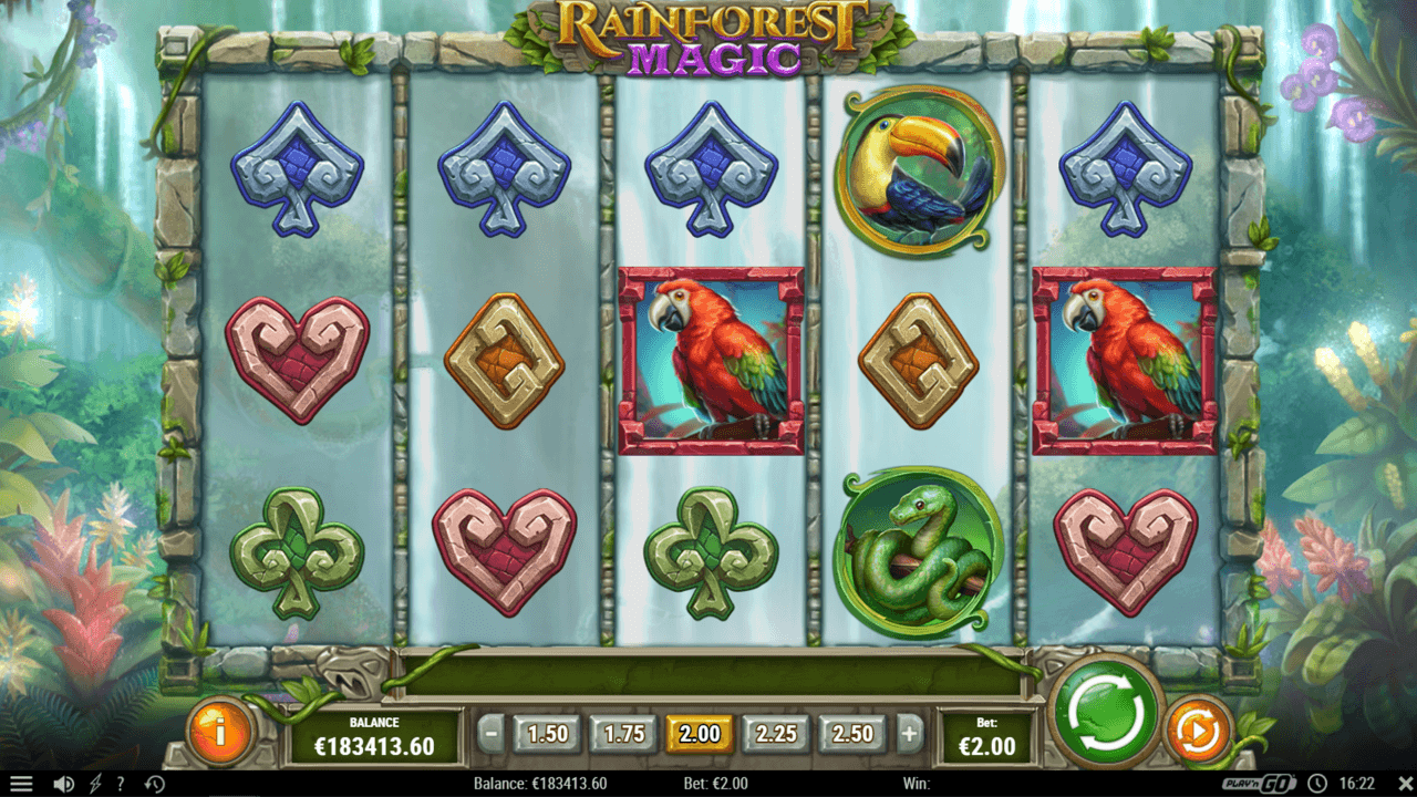 Rainforest Magic Review