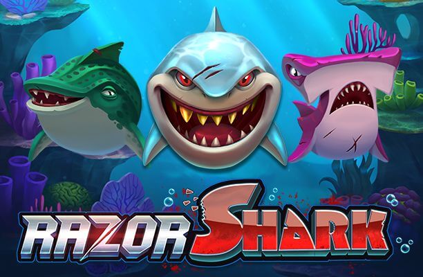 Razor Shark Push Gaming Royal Panda