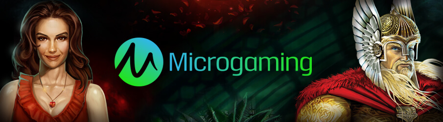Microgaming CS Gokkasten