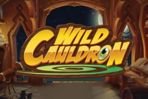 Wild Cauldron logo review