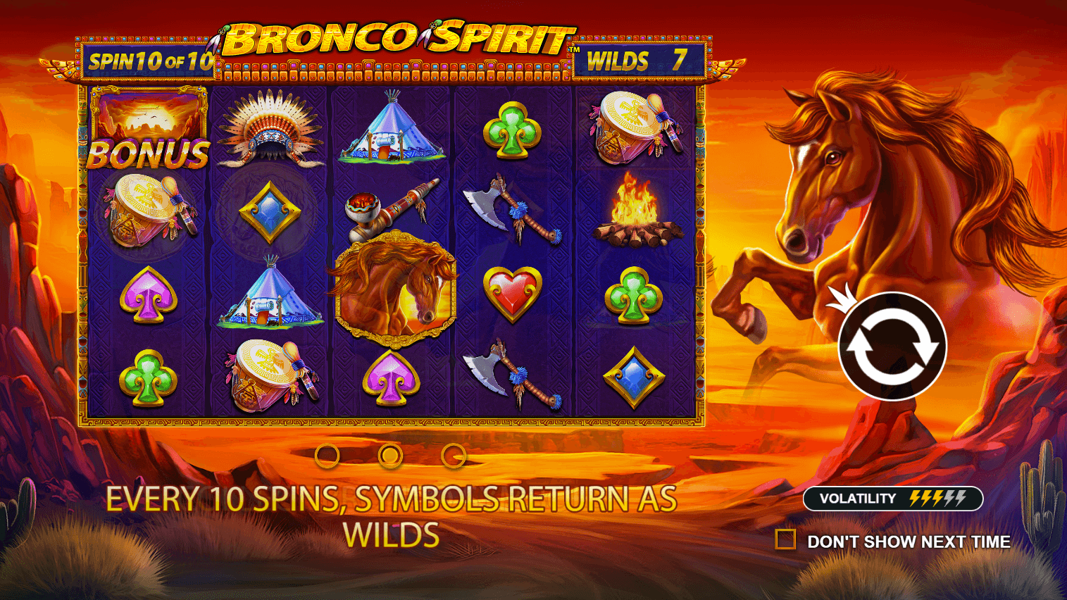 Bronco Spirit Review