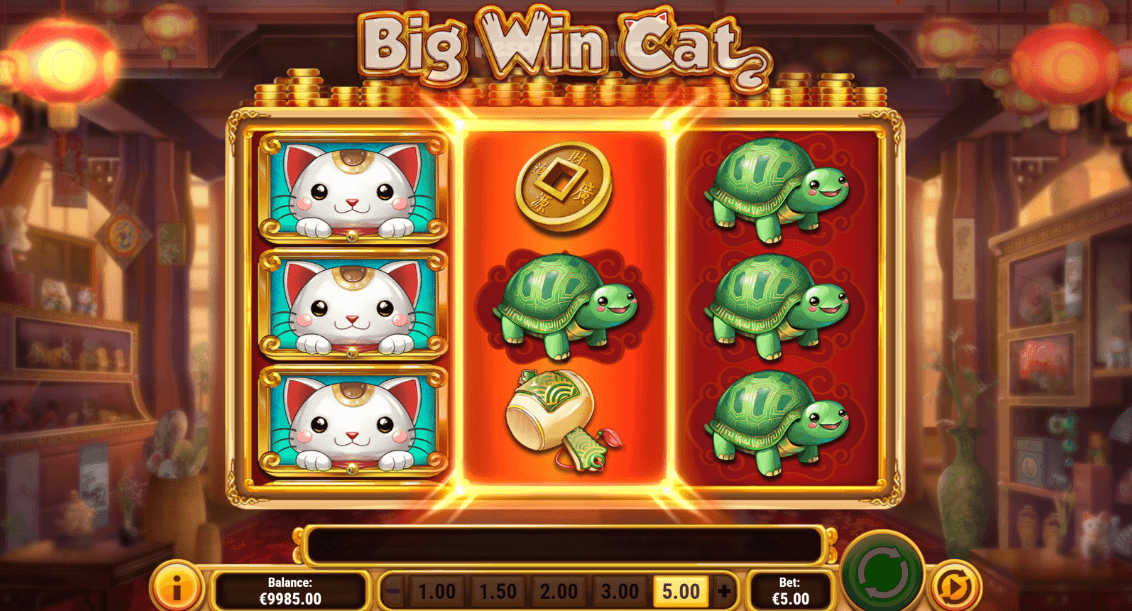 Big Win Cat Review
