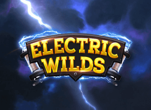 Electric Wilds logo review