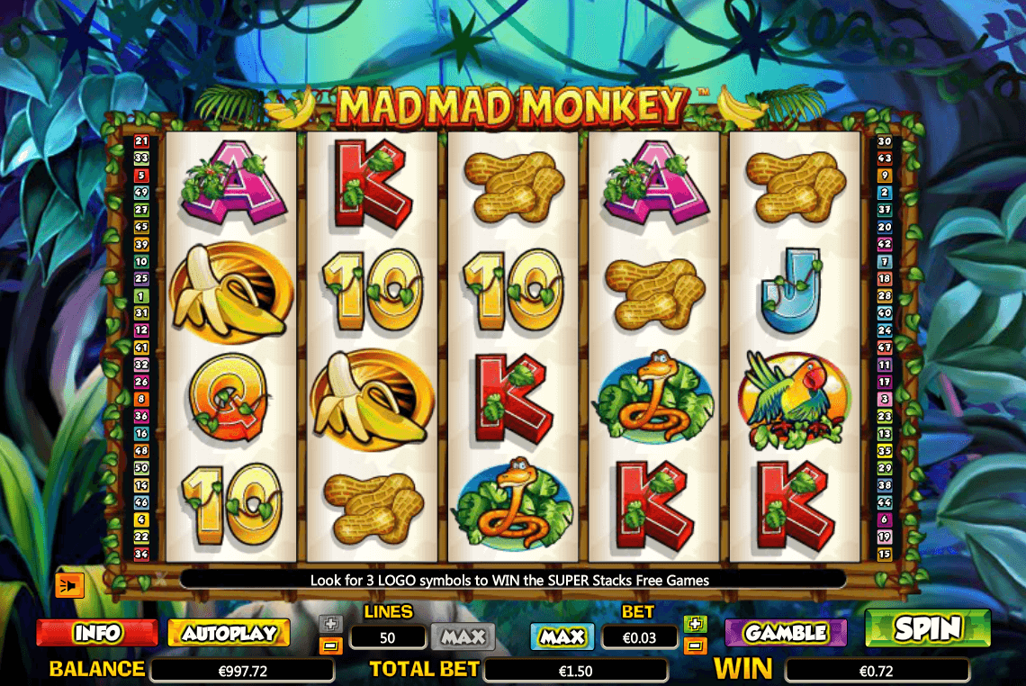 Mad Mad Monkey Review