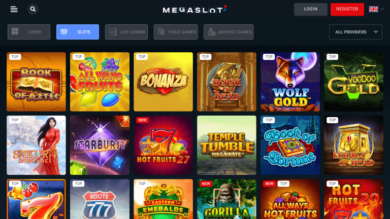 Megaslot Casino Screenshot 2