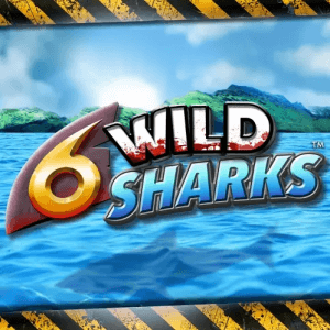 6 Wild Sharks logo review