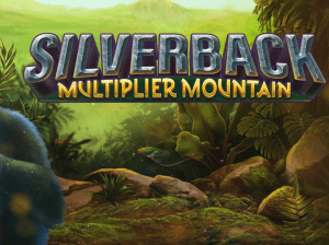 Silverback Multiplier Mountain logo achtergrond