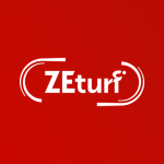 ZETurf side logo review