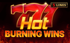 Hot Burning Wins logo review
