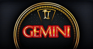 Gemini Twin logo review