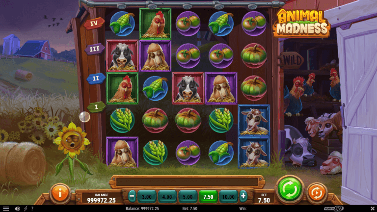 Animal Madness Review
