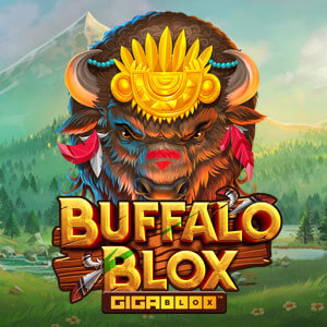 Buffalo Blox Gigablox side logo review