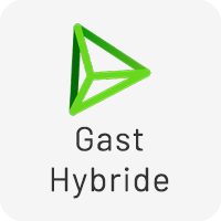 Pay N Play Gast Hybride icoon