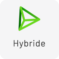 Pay N Play Hybride icoon