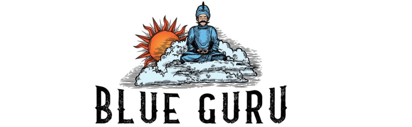 Logo van Blue Guru Games
