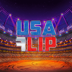 USA Flip side logo review