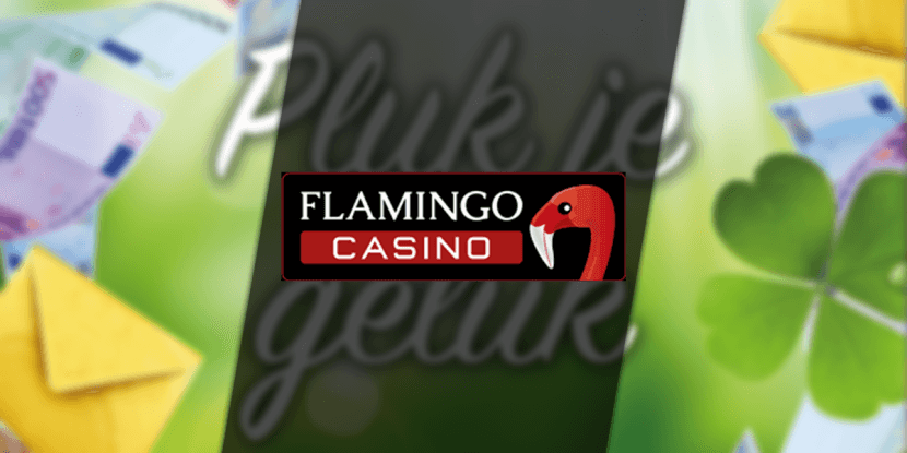 Pluk je geluk bij Flamingo: win vouchers voor automatenloterijen