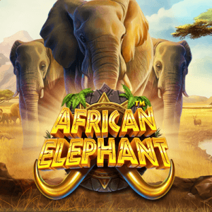 African Elephant logo review